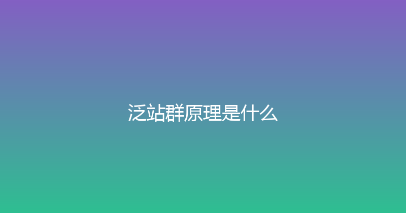 泛站群原理是什么 封面图