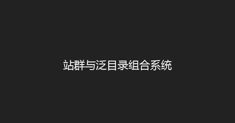 站群与泛目录组合系统 封面图
