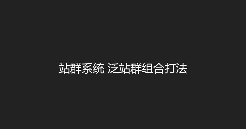 站群系统+泛站群组合打法 封面图